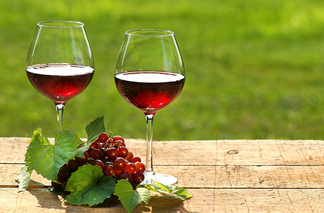 История на винопроизводството